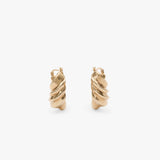 Chunky Earrings
