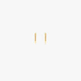 Small Hoop Earrings