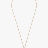 Scorpio Zodiac Necklace