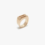 Dorian Signet Ring In Gold